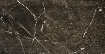 Nero Stone Glans 60 x 120